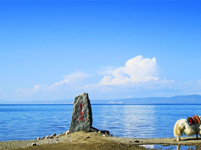  塔尔寺-茶卡盐湖-青海湖汽车2日游>遇见虔诚 绝色双湖 纯玩团 金银滩