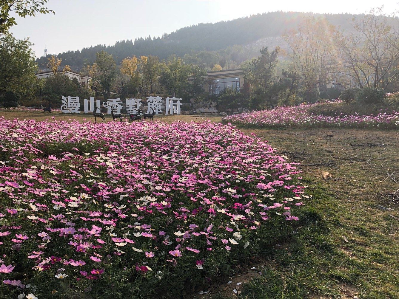 济南刘娇公寓