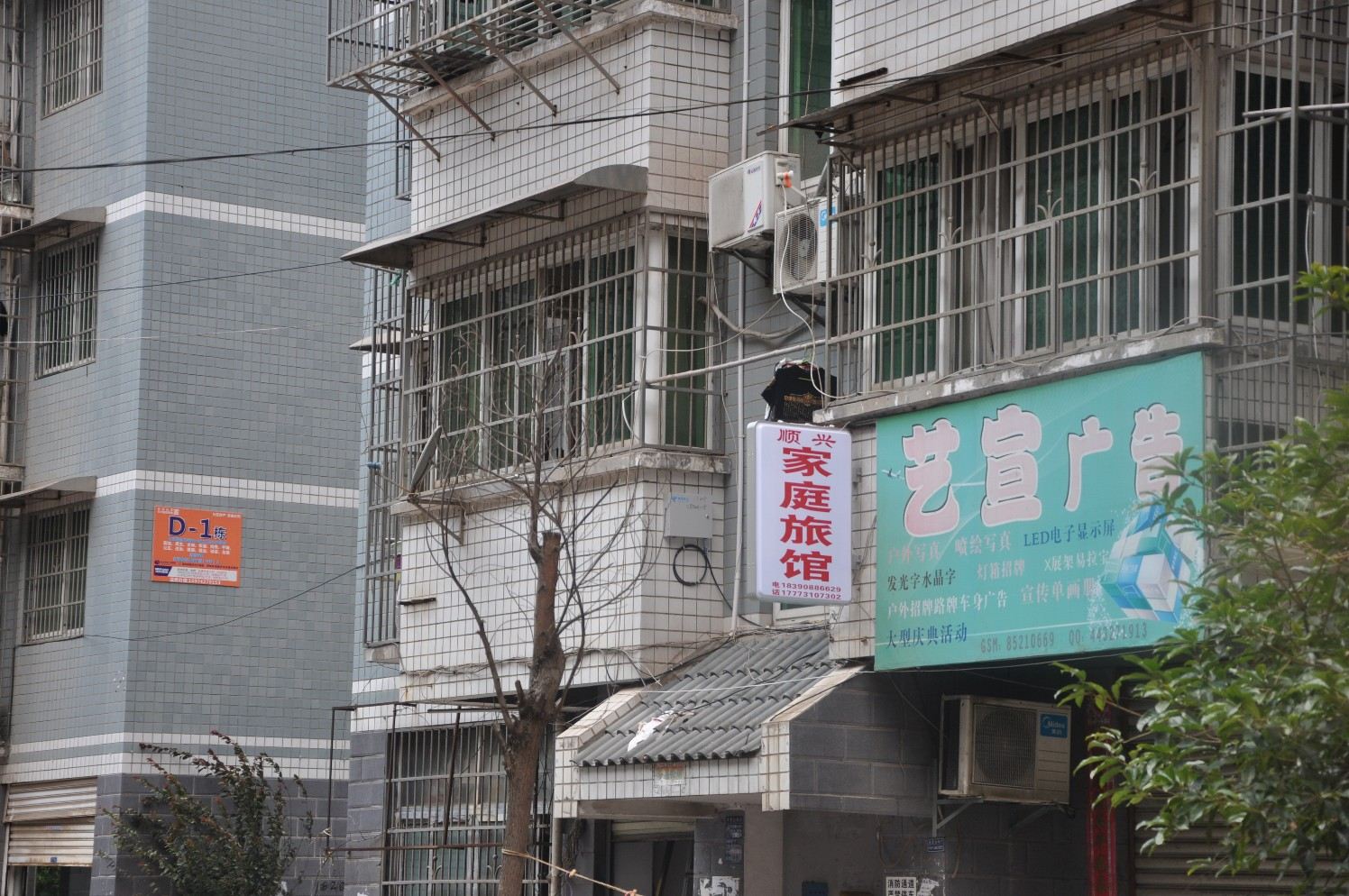 外观