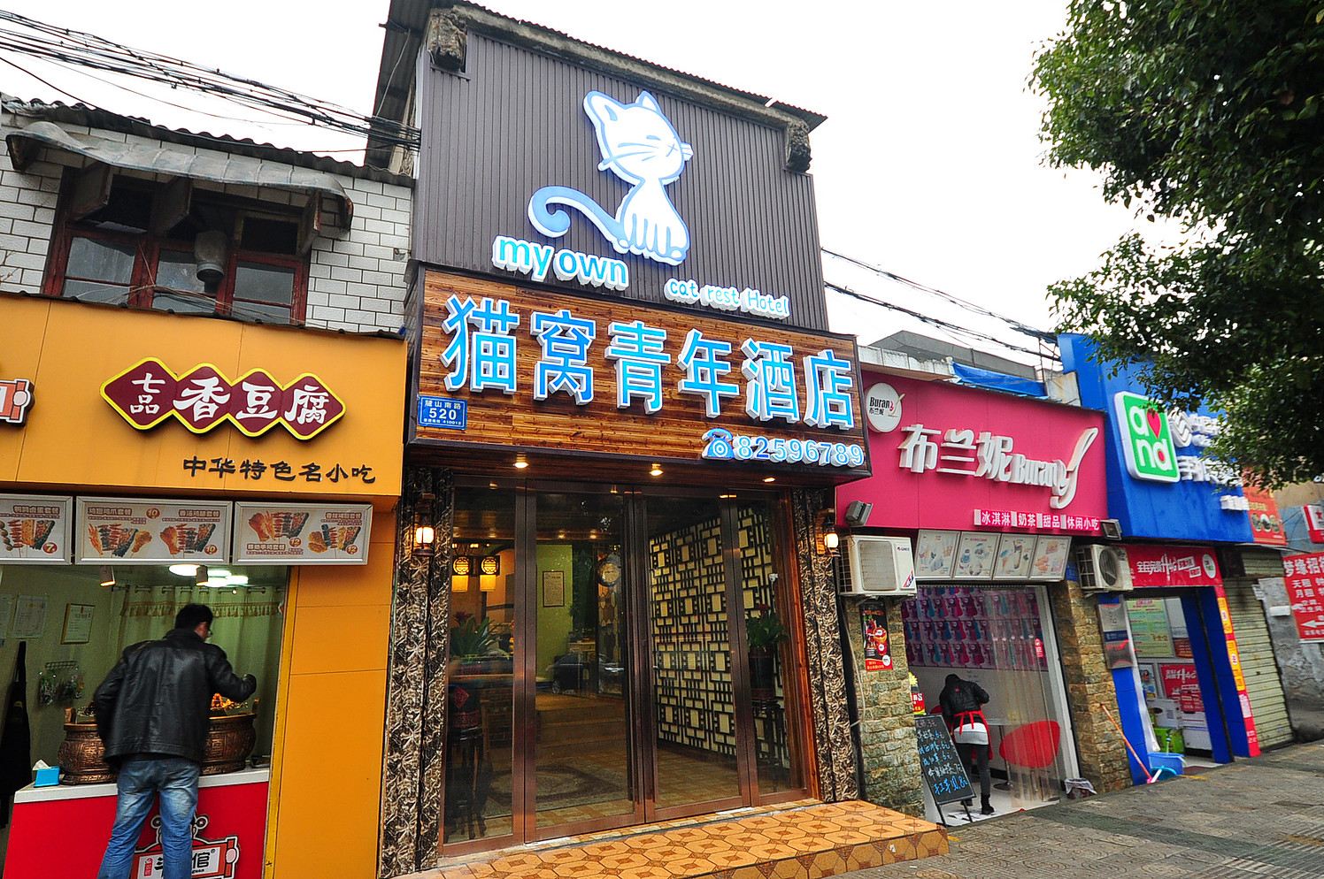 外观