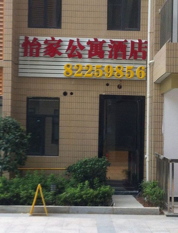 外观