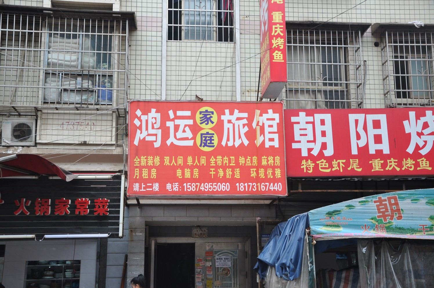 外观