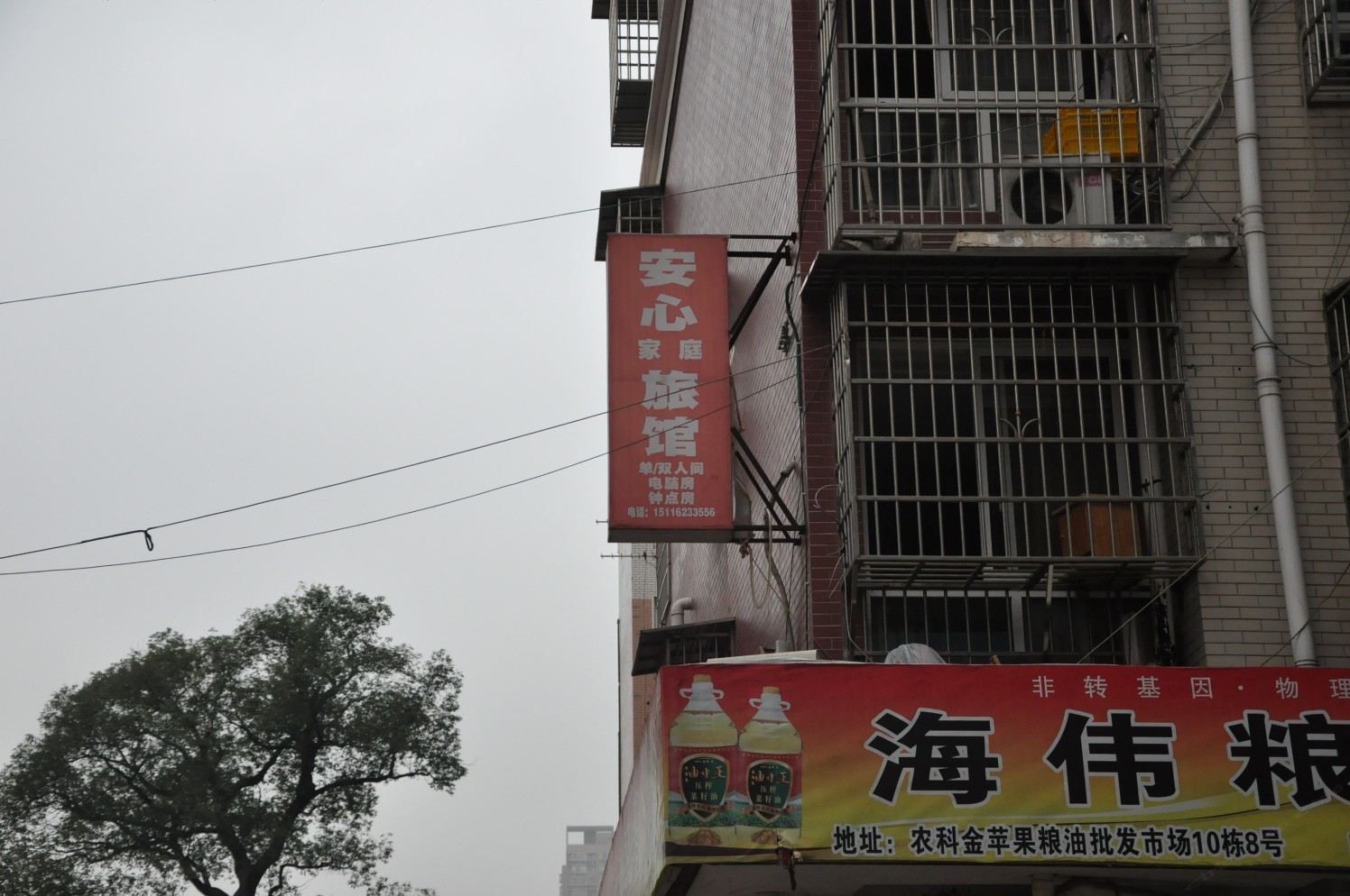 外观