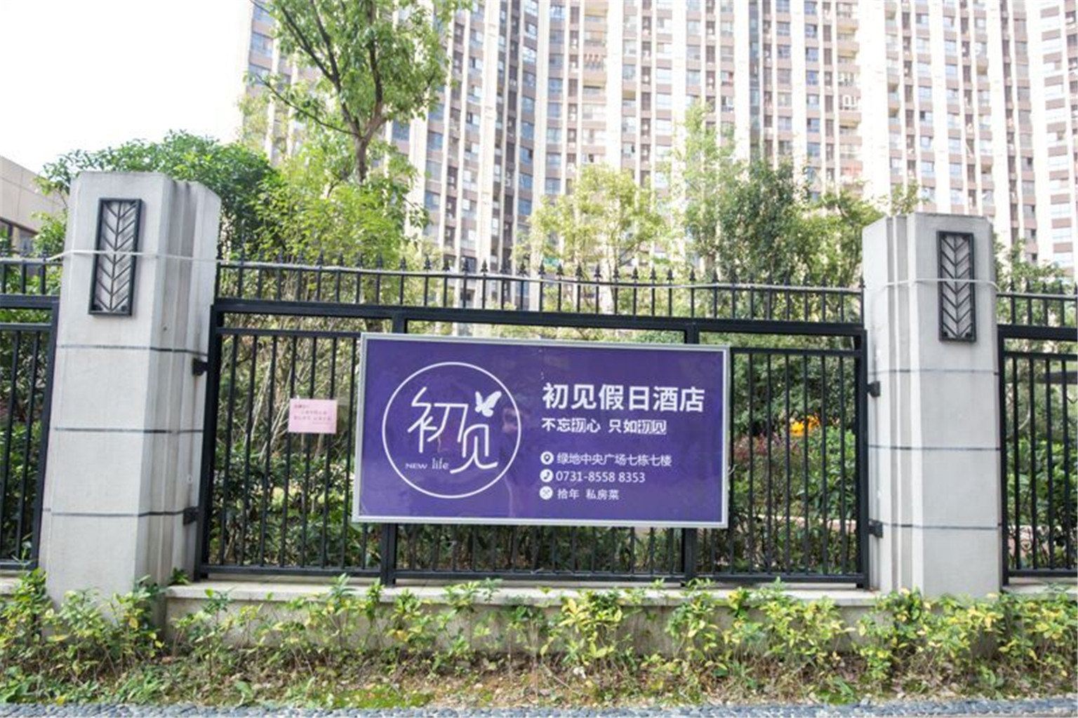 外观