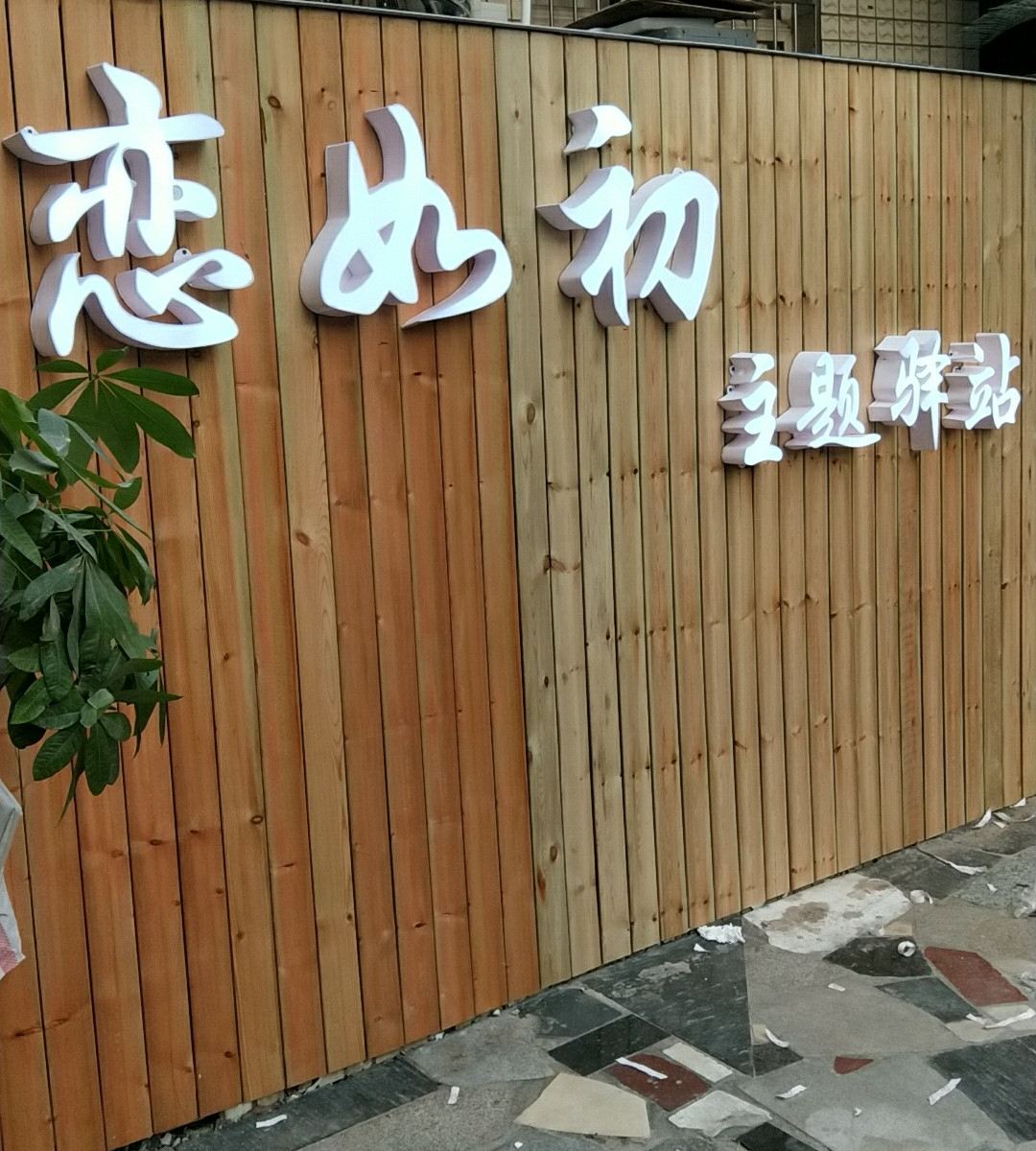 外观