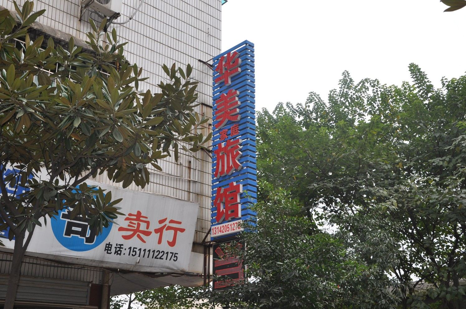 外观