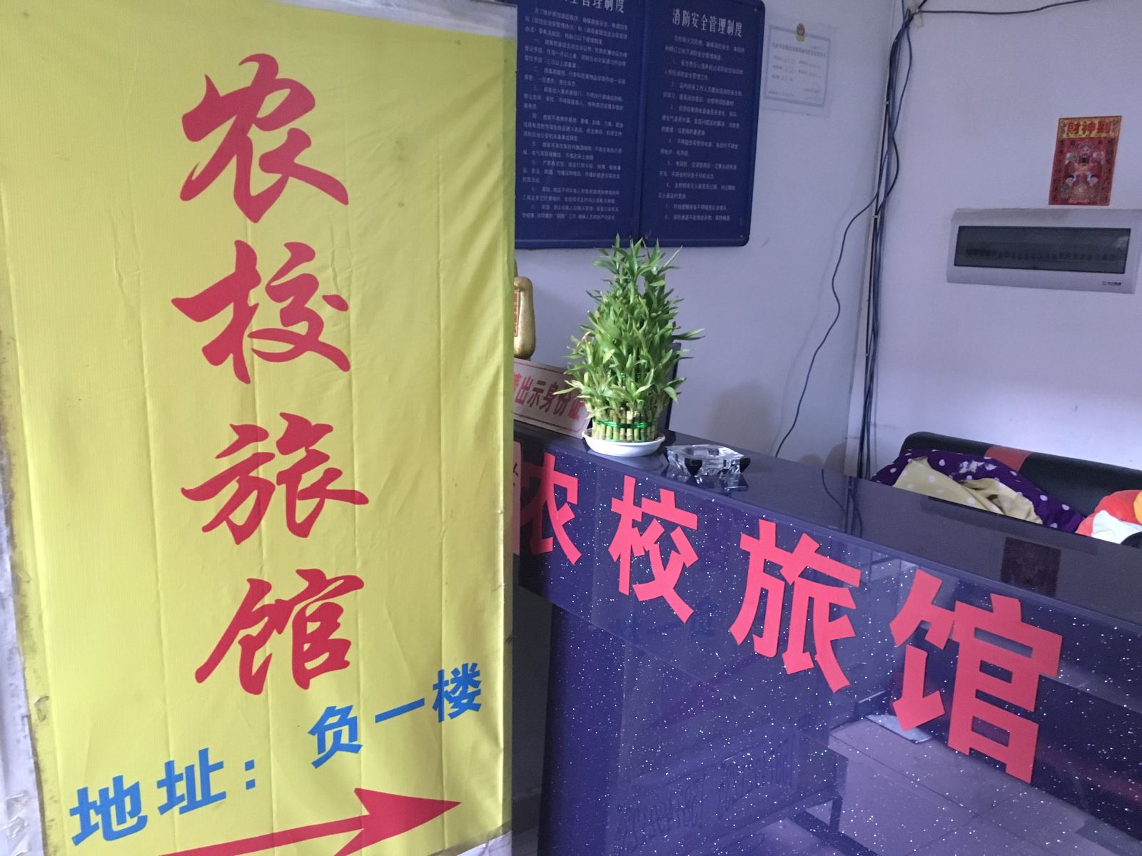 公共区域