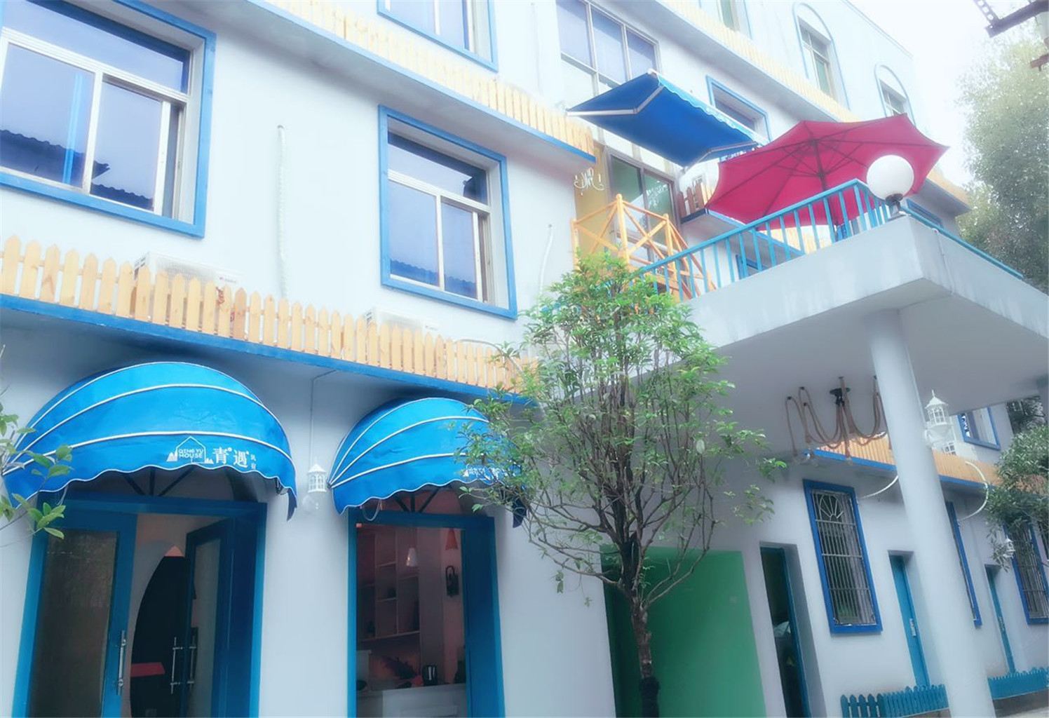 外观