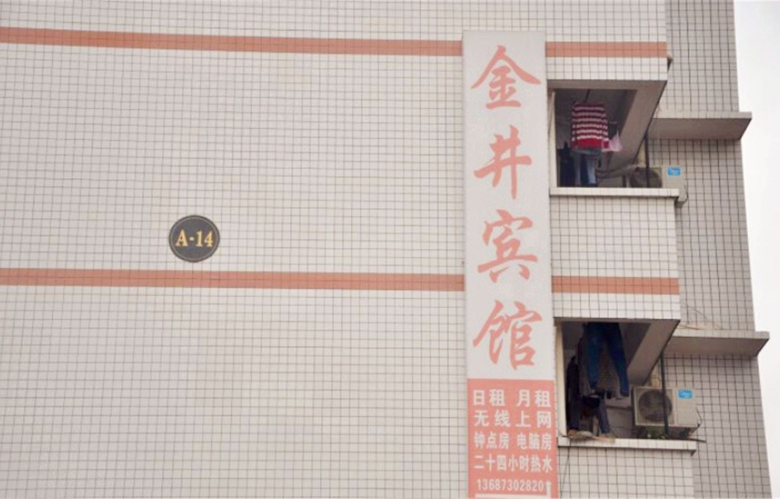 外观