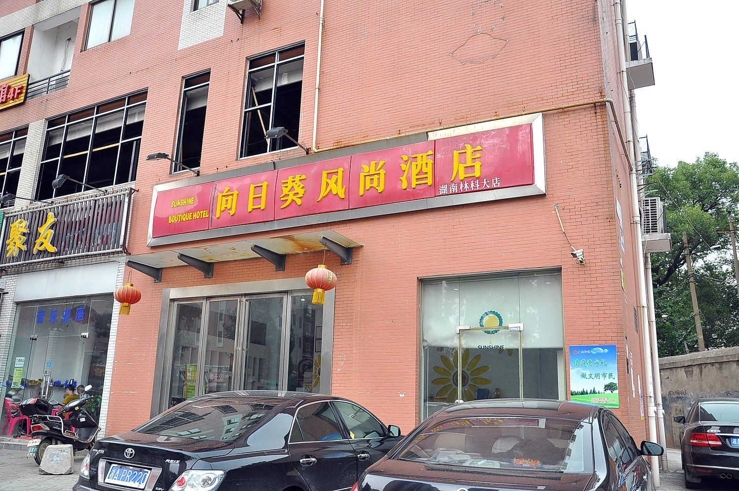 外观