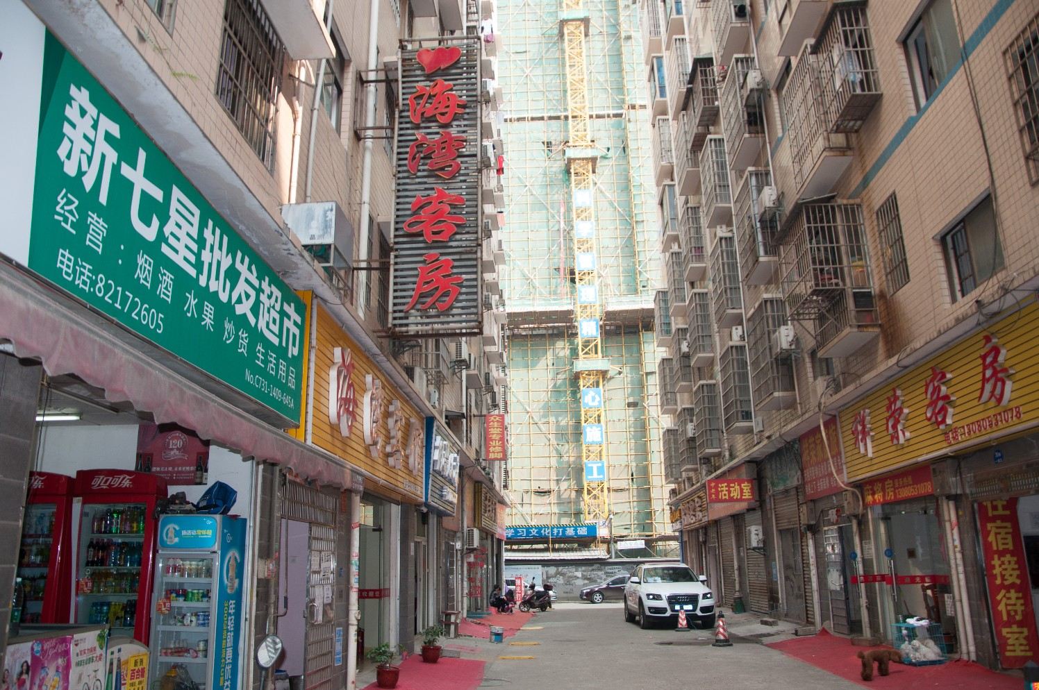 外观