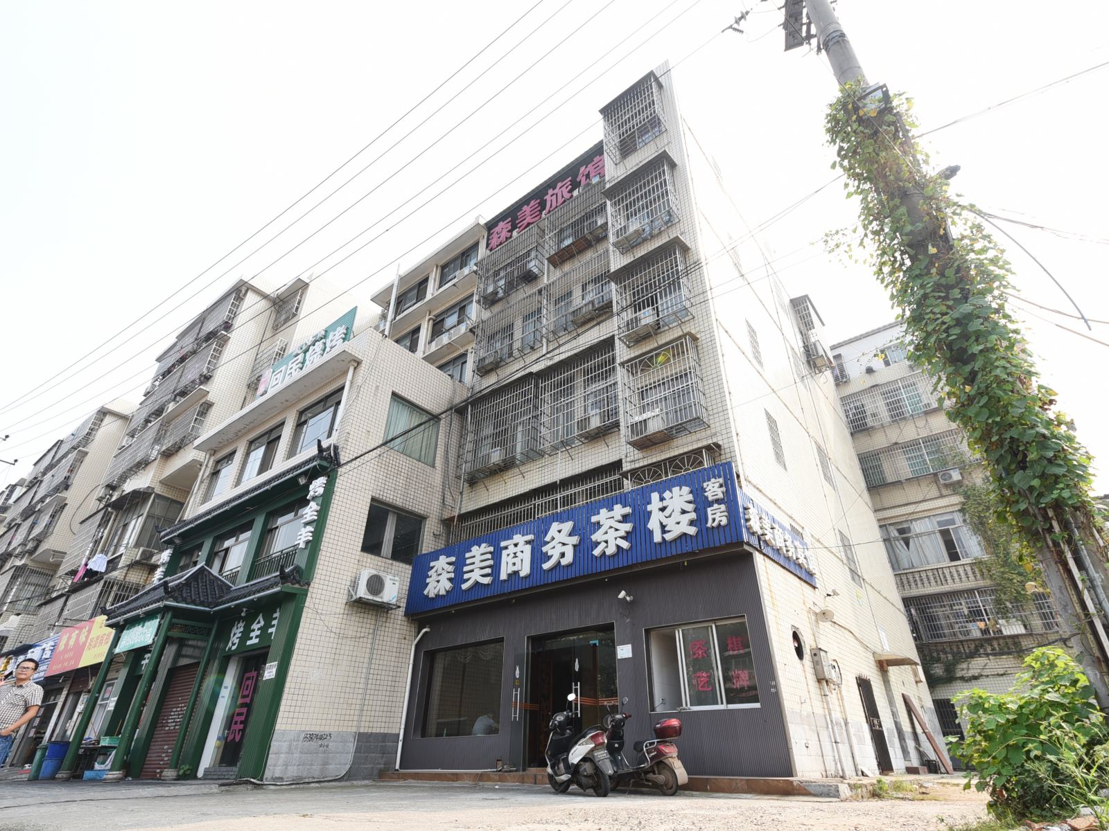 外观