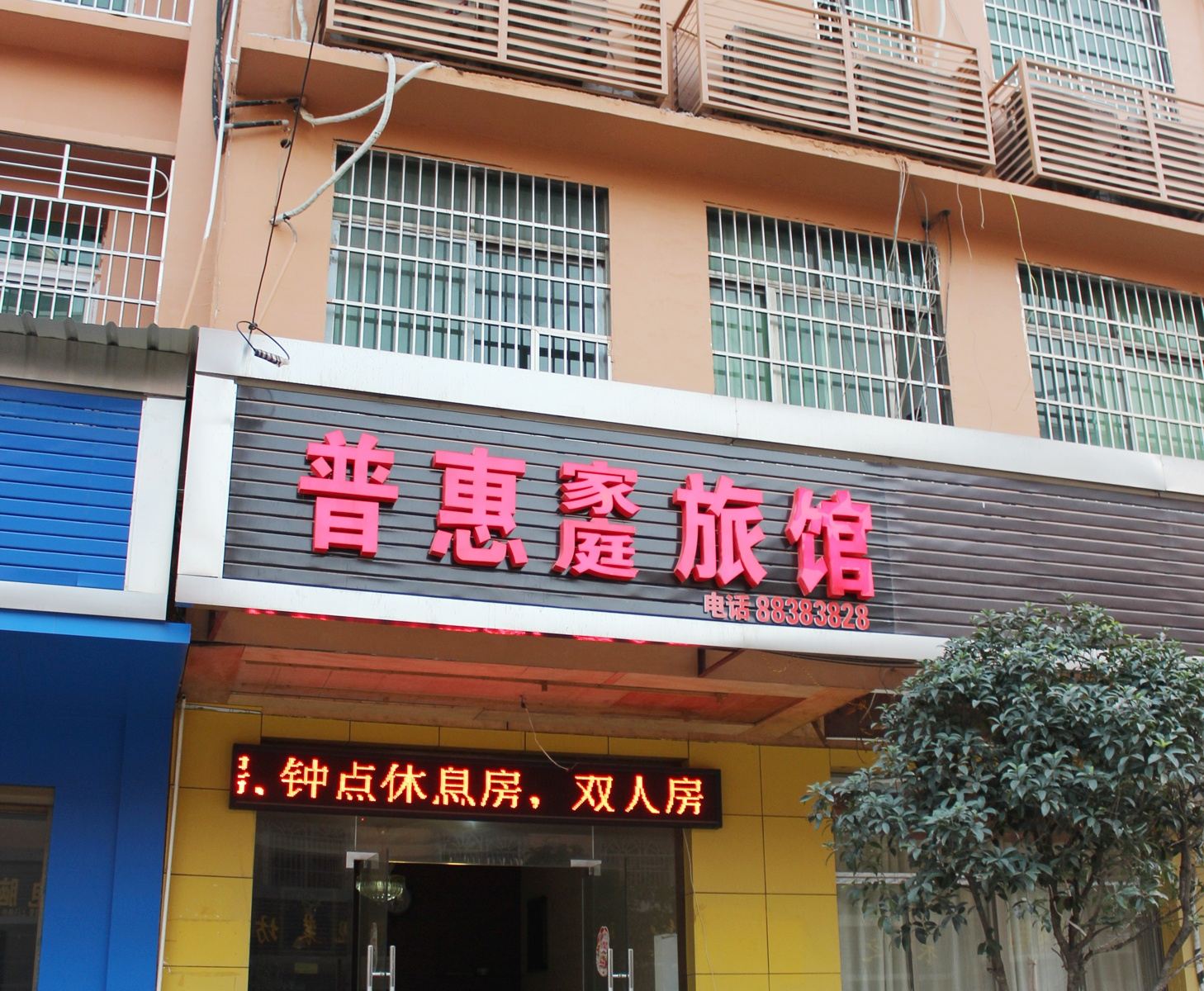 外观