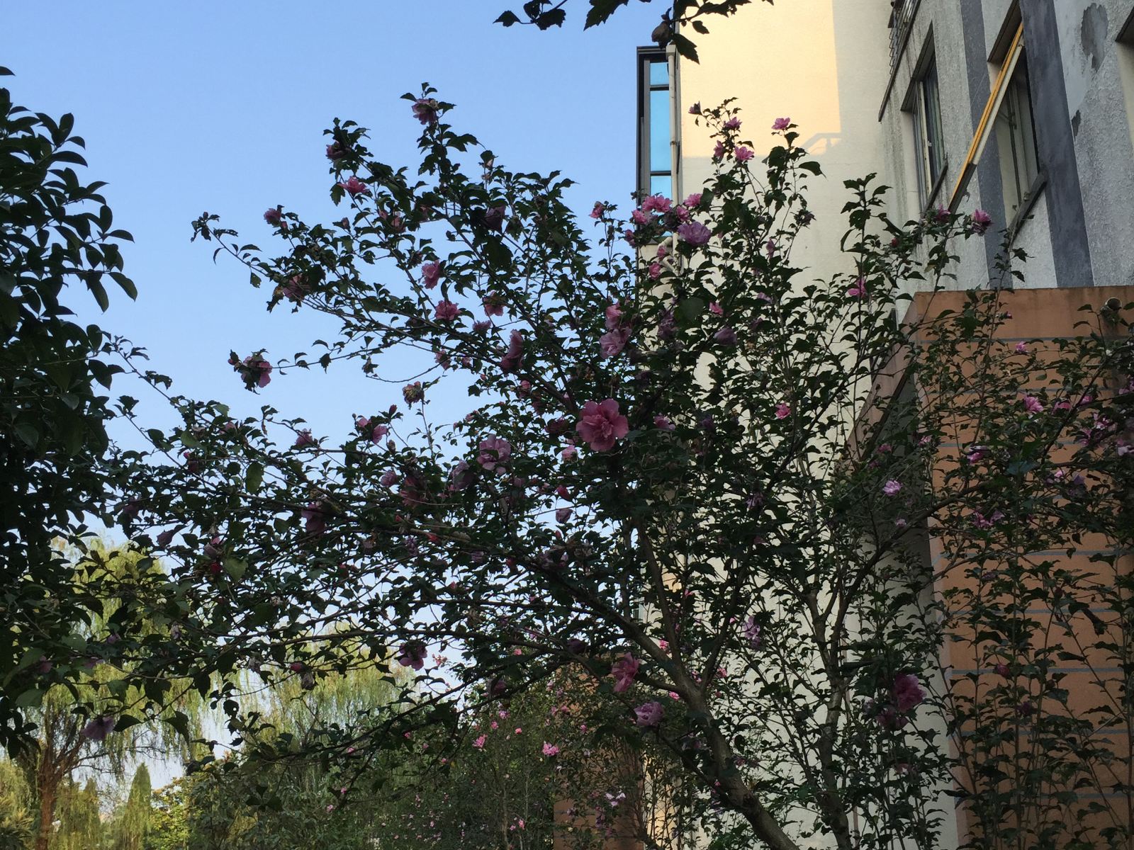 常州风景区普通公寓