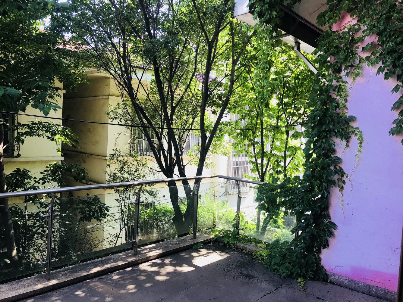 是汪晶晶啊度假别墅