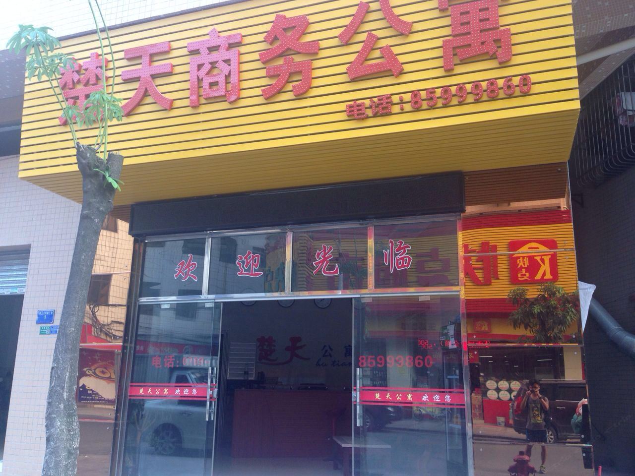 外观