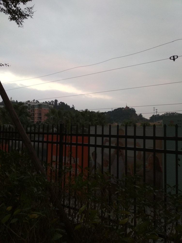 其他