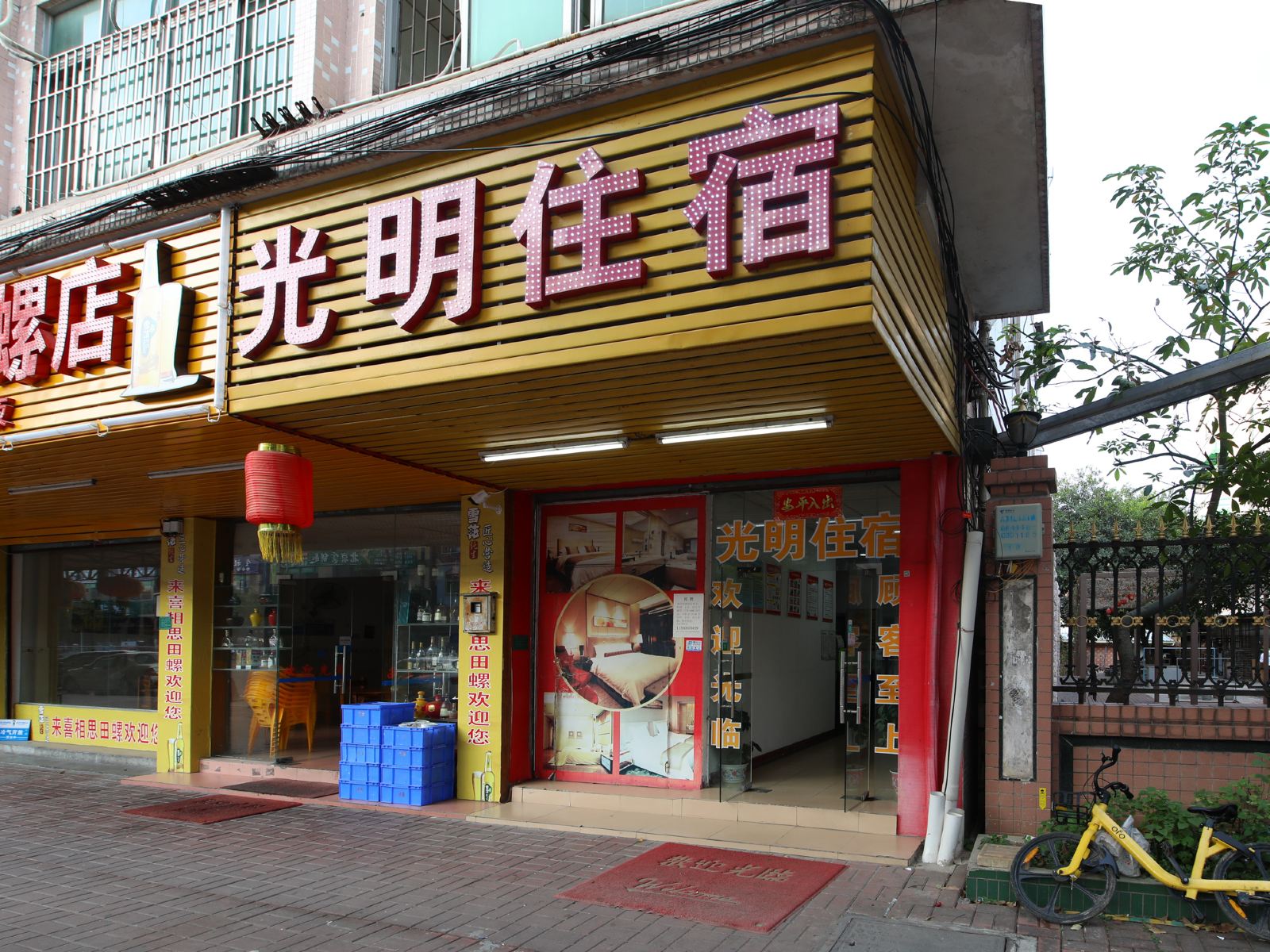 外观