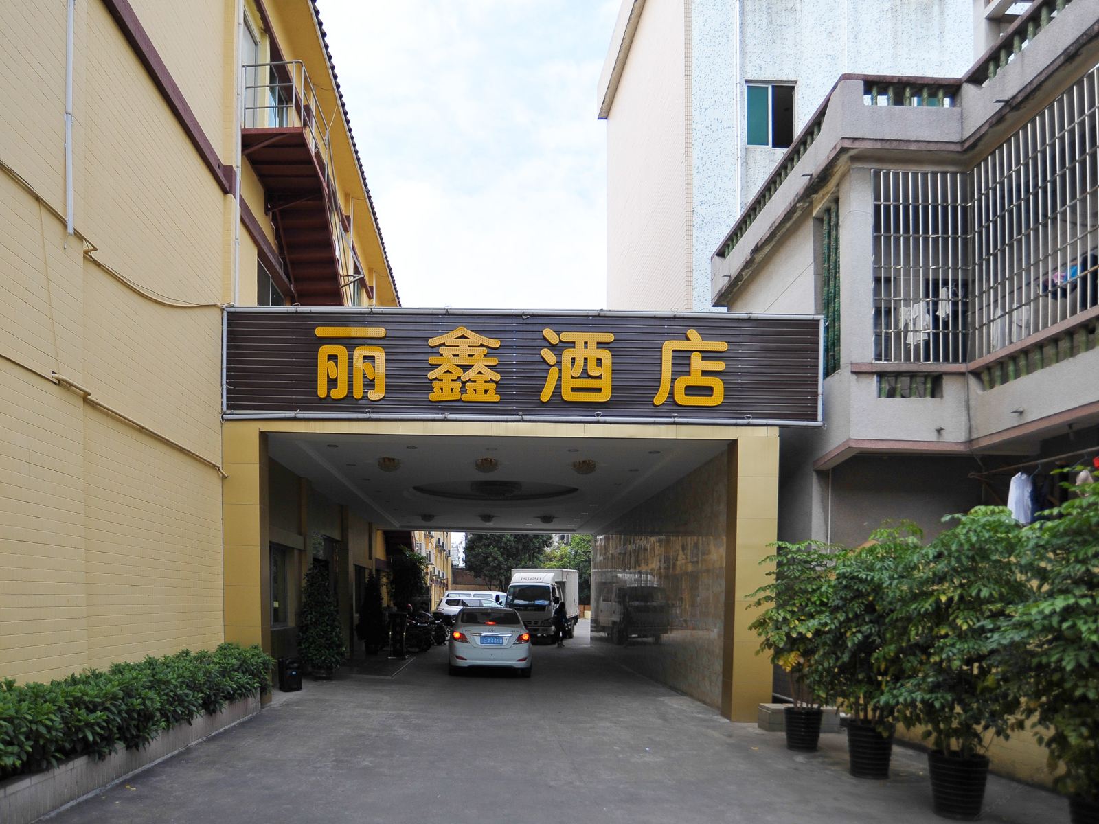 外观