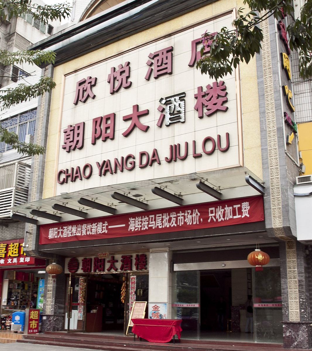 外观
