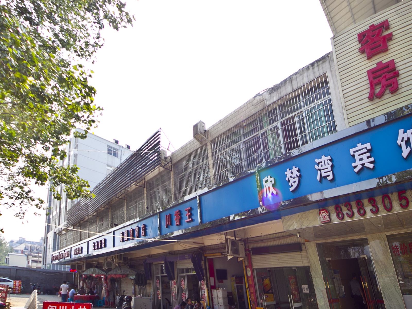 外观