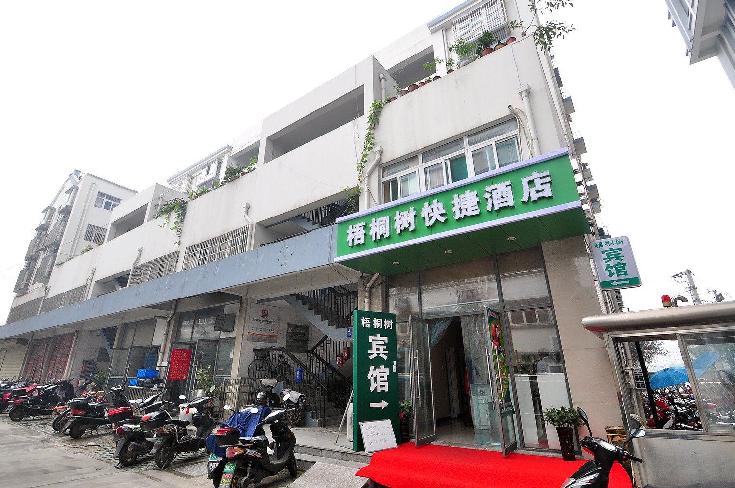 合肥梧桐树宾馆