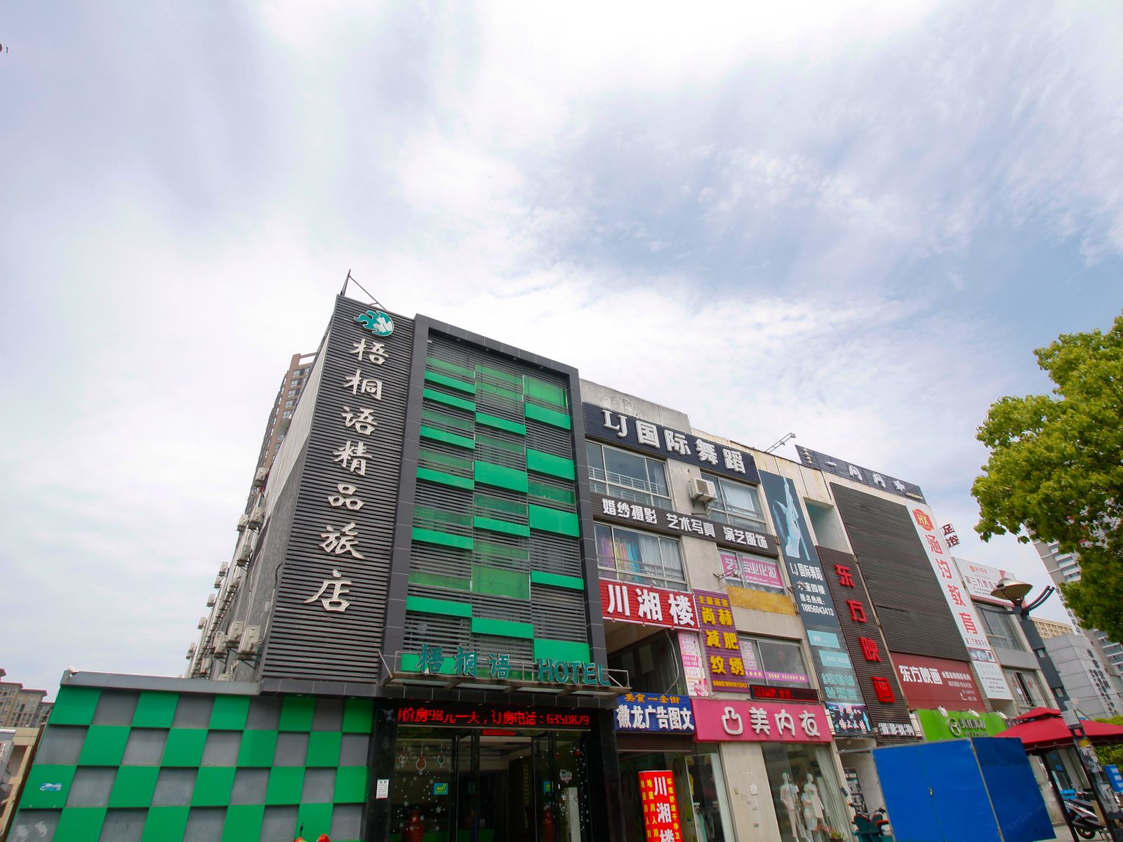 外观