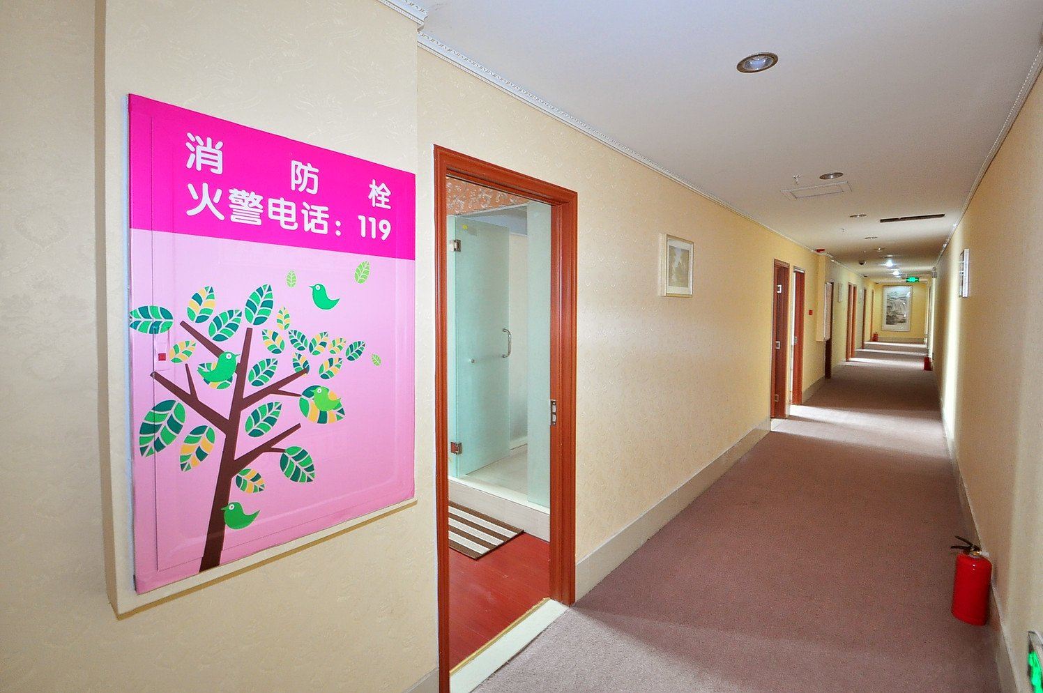 公共区域