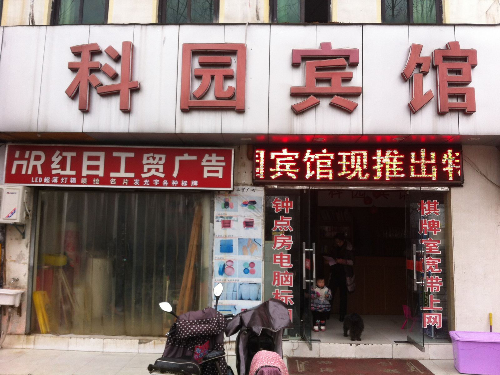 外观