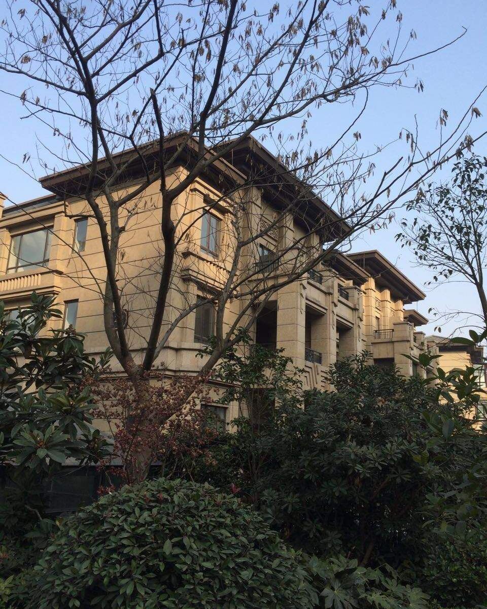 合肥多功能别墅(田埠西路分店)