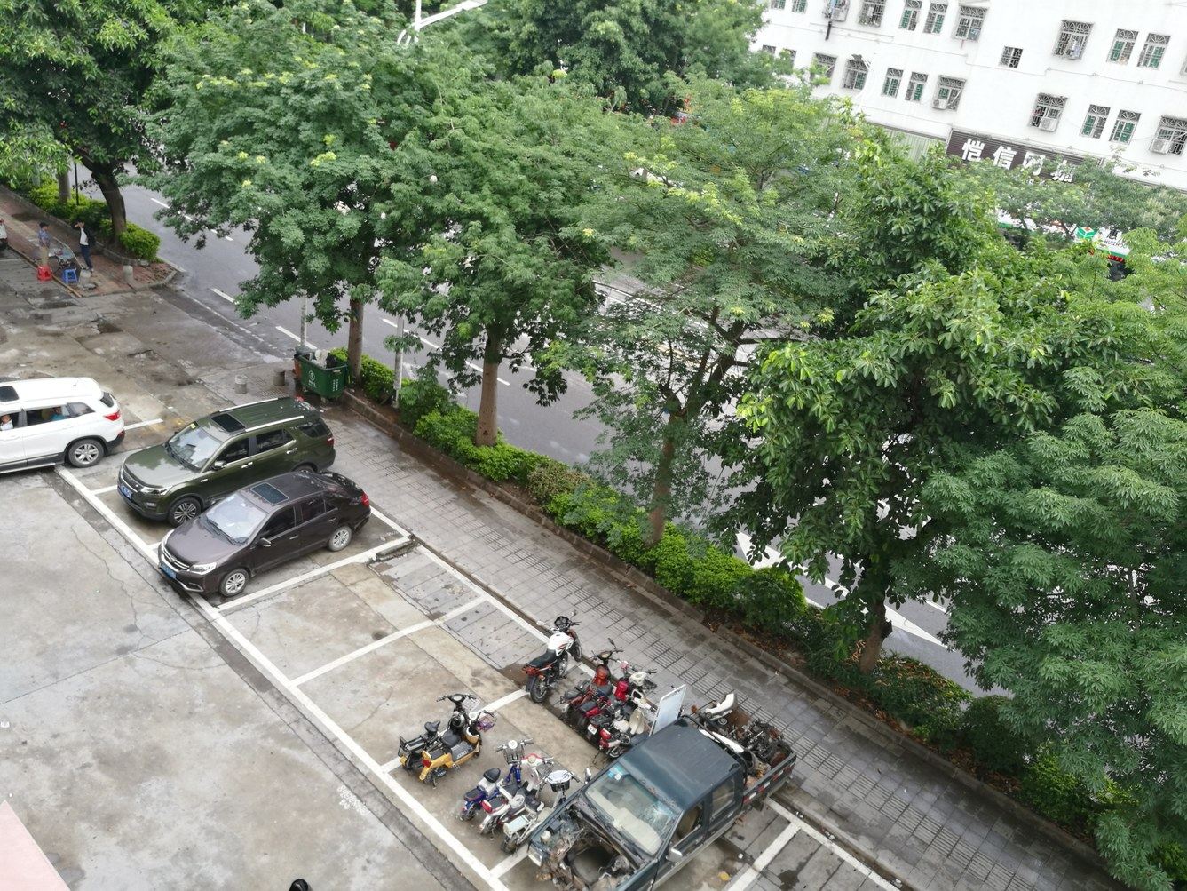 外观