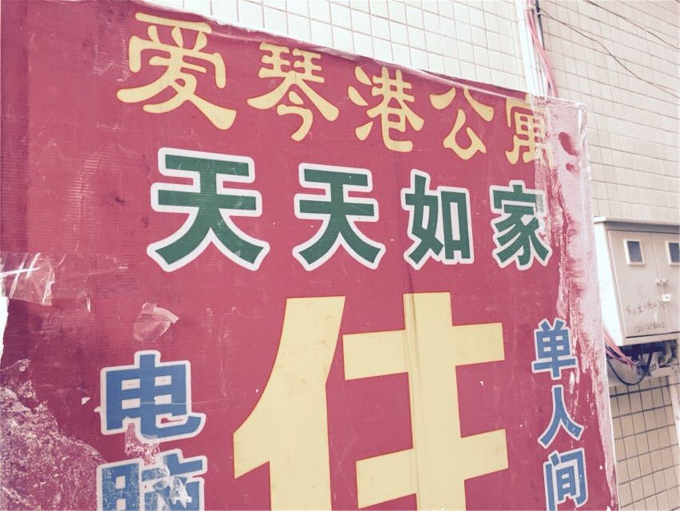 外观