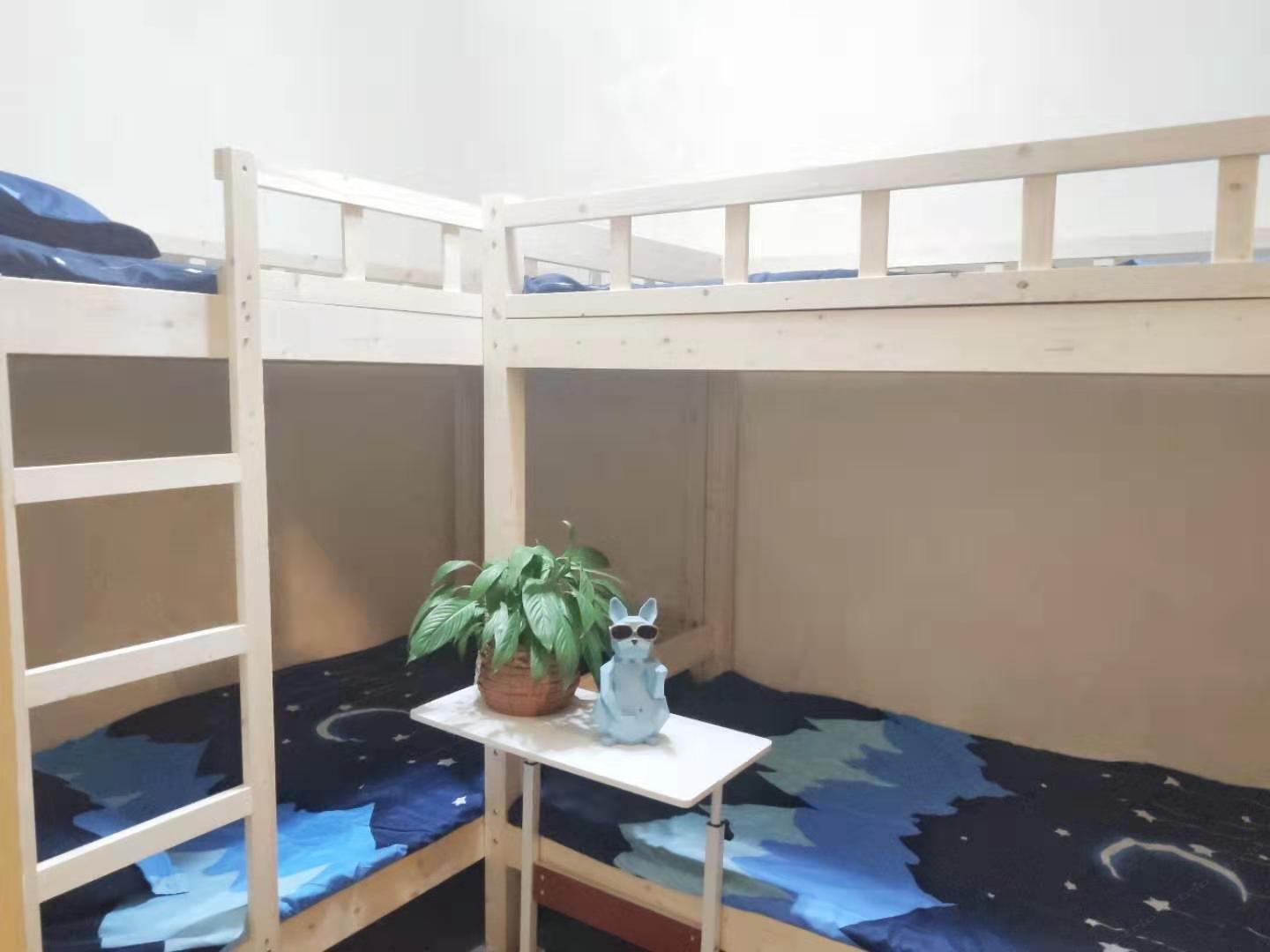 清新六人间