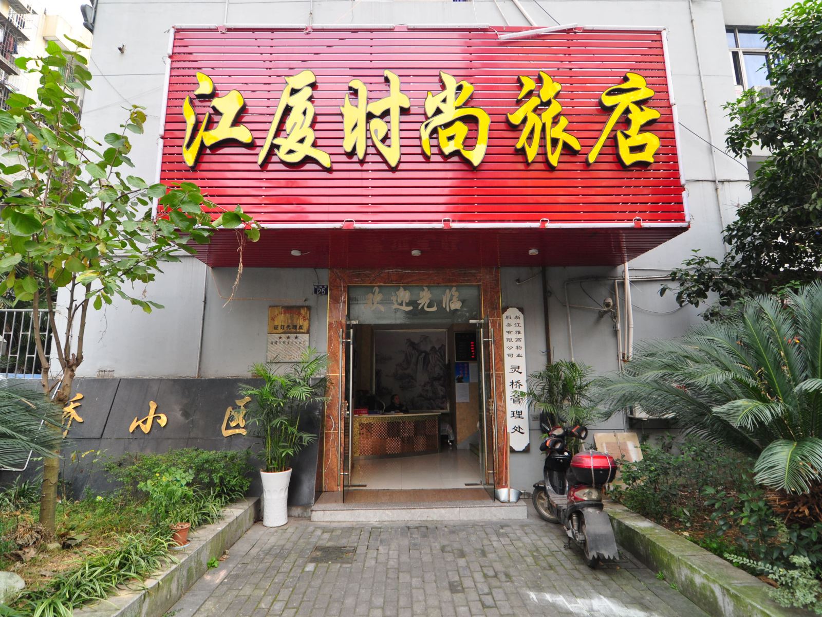 外观