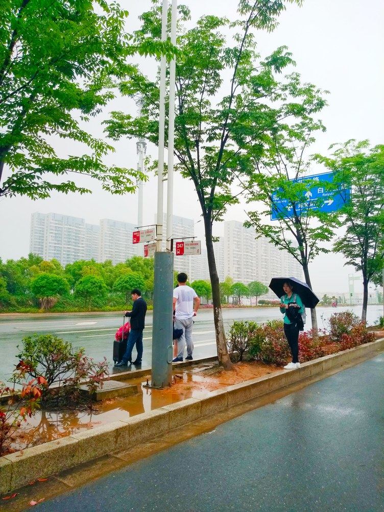 其他