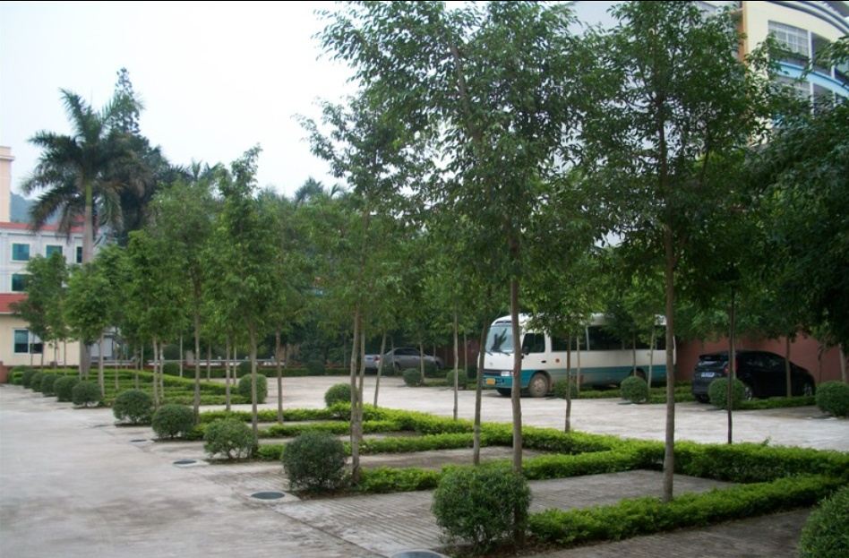 公共区域