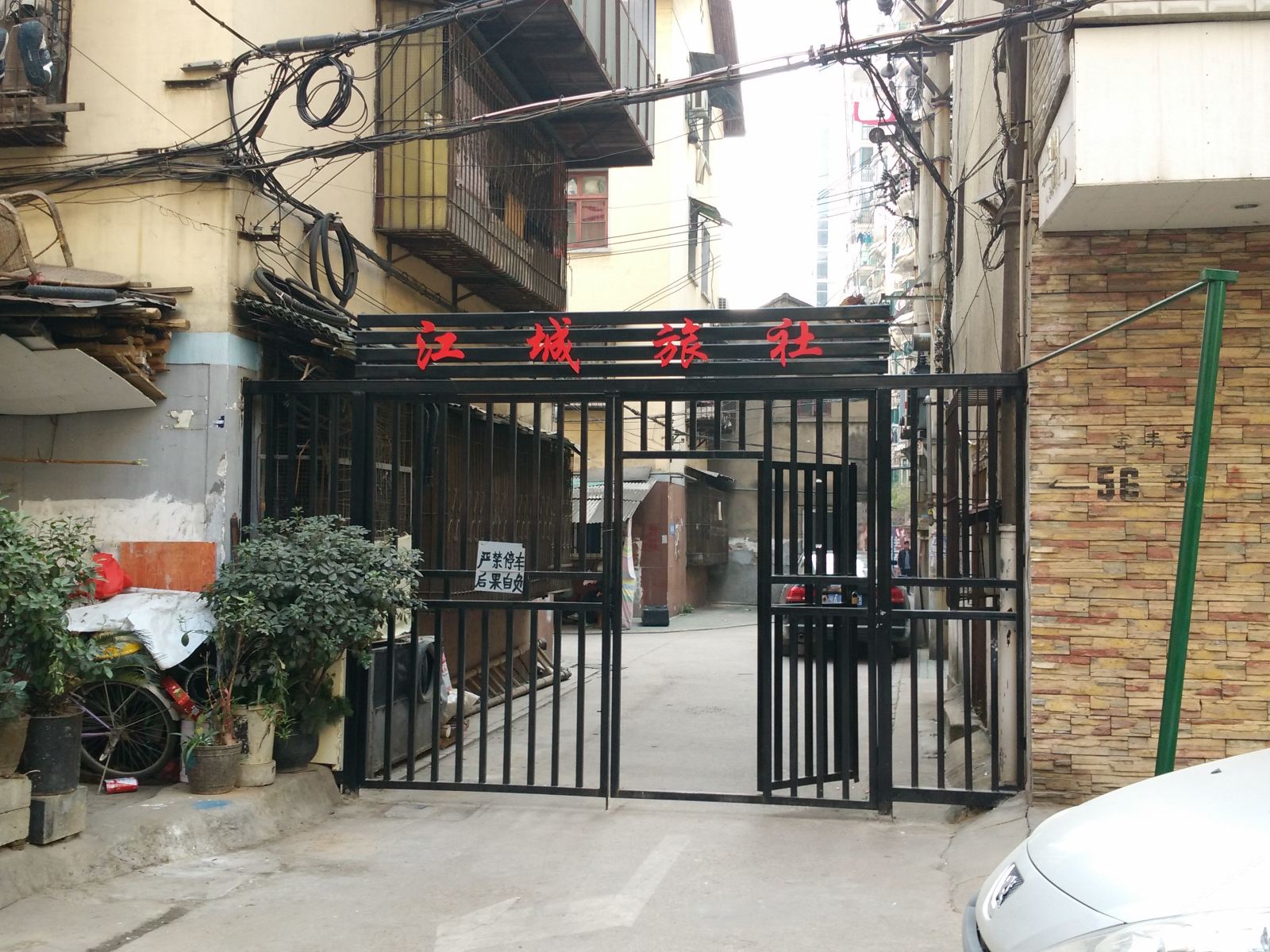 外观