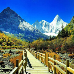 景点模块 