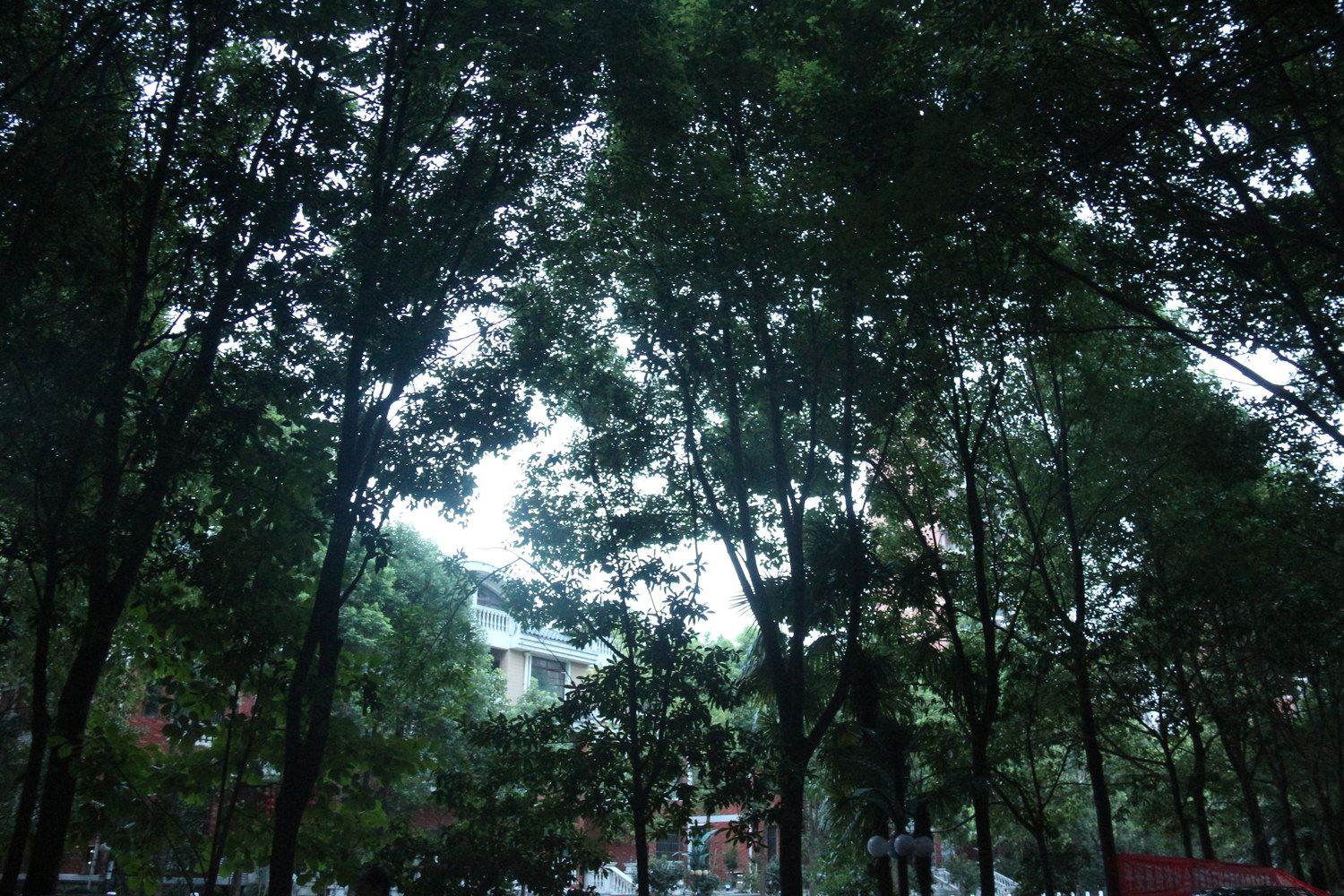 武汉mechel公寓(6号店)