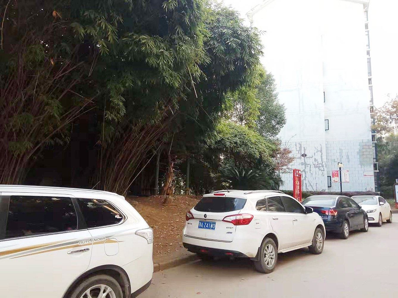 武汉花前树下公寓
