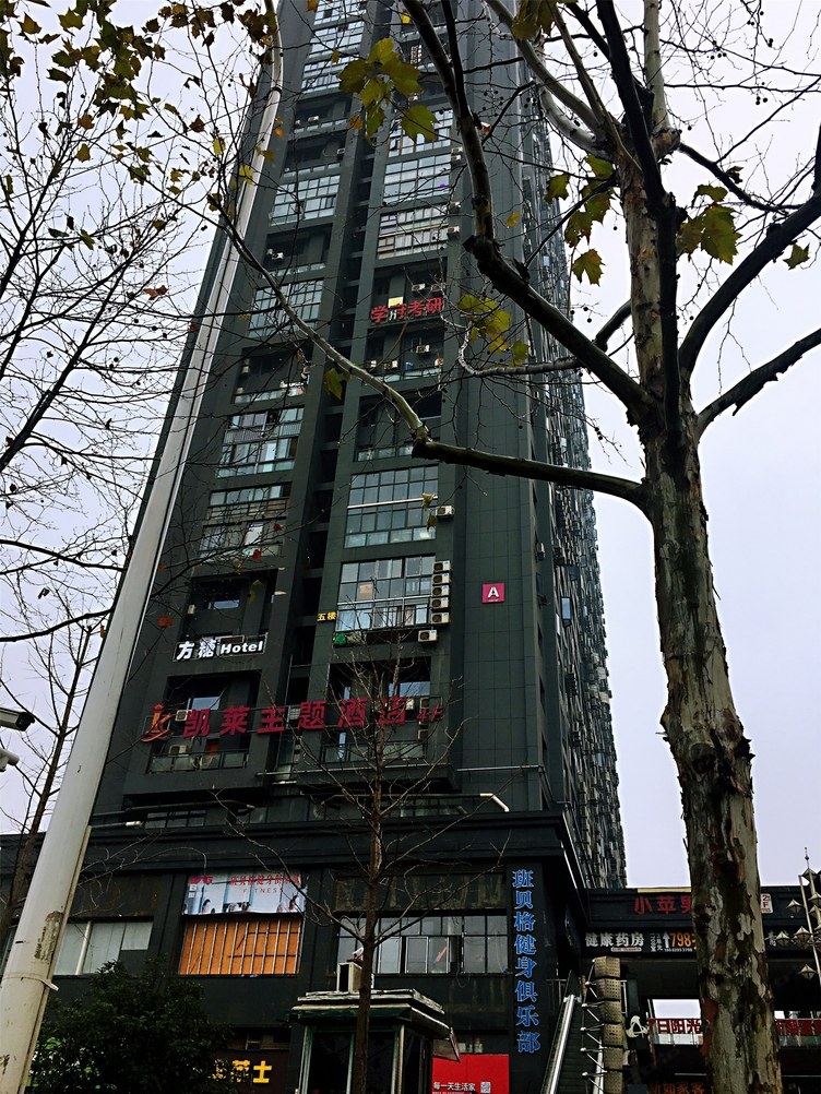 其他