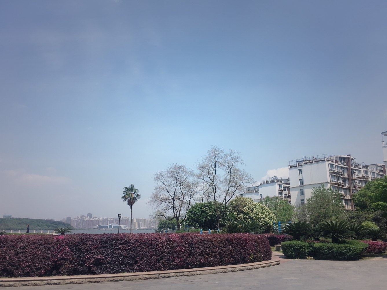 武汉西子的小屋