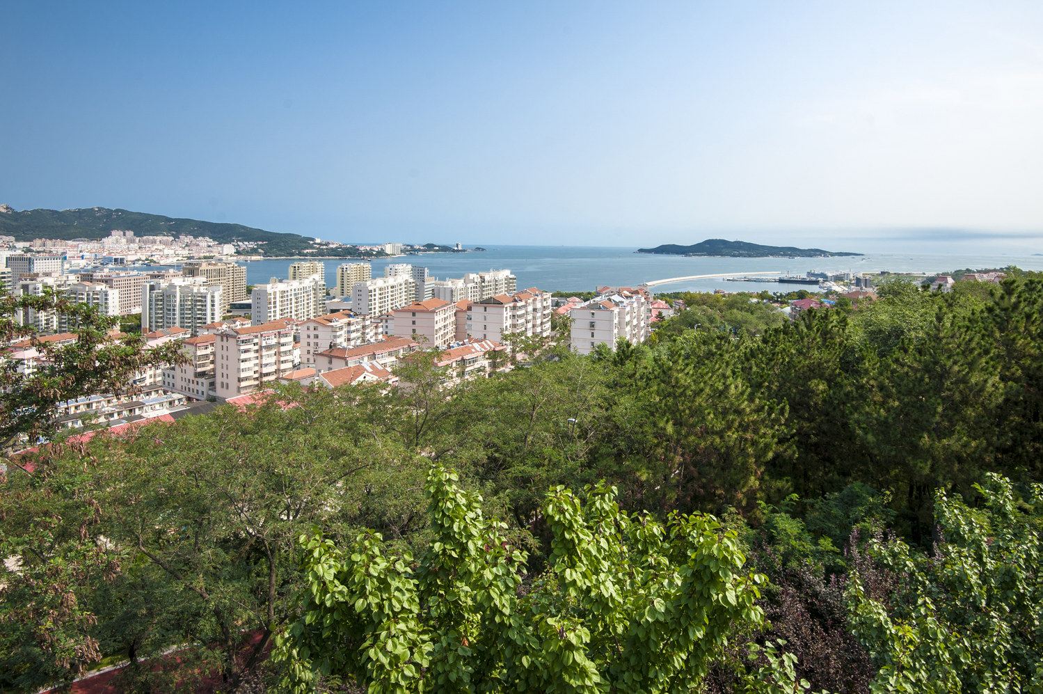 威海市区房普通公寓