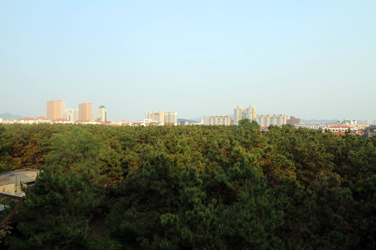 威海茉茉海边温馨的家公寓(2号店)