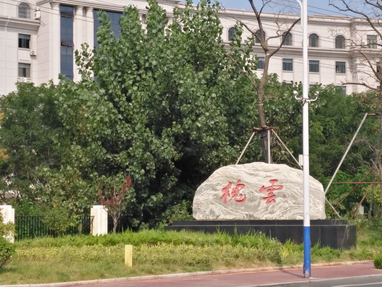 其他