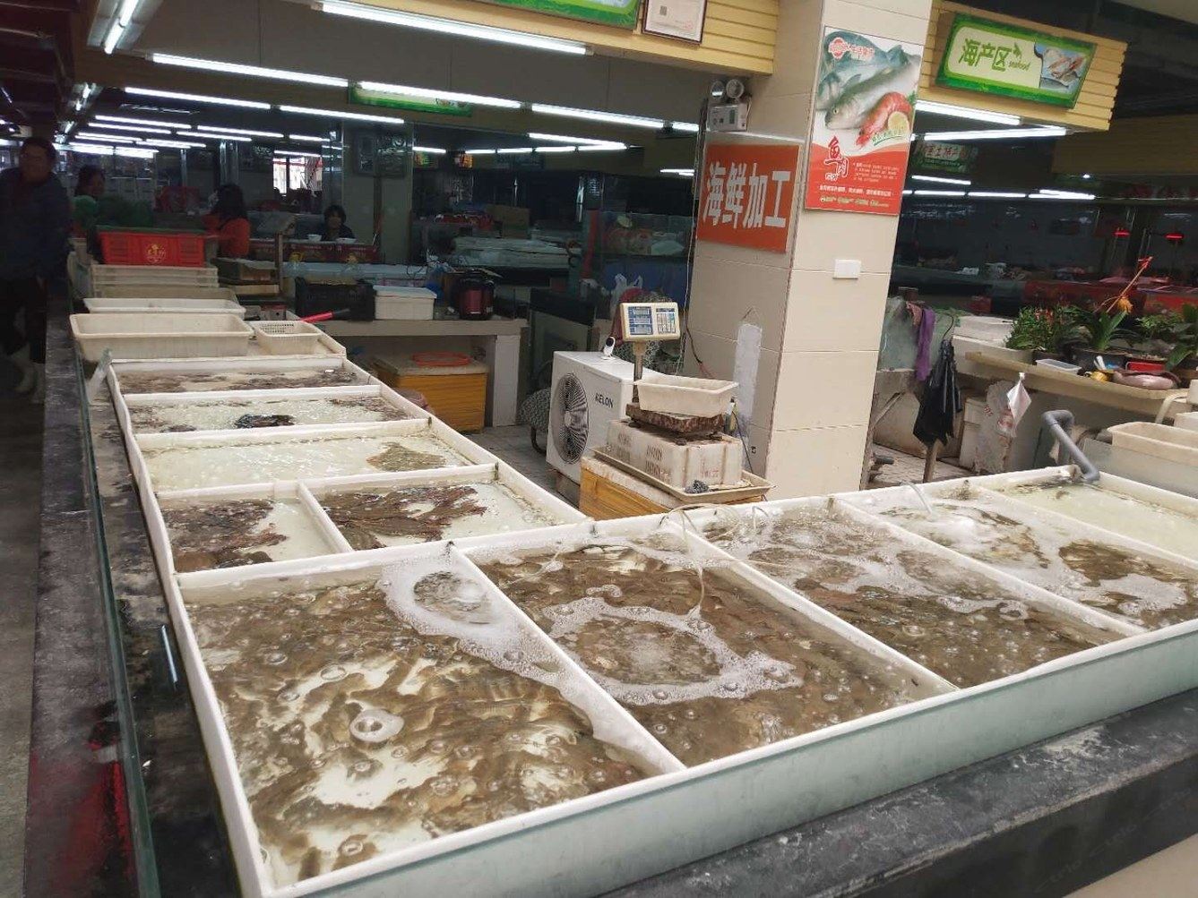 其他