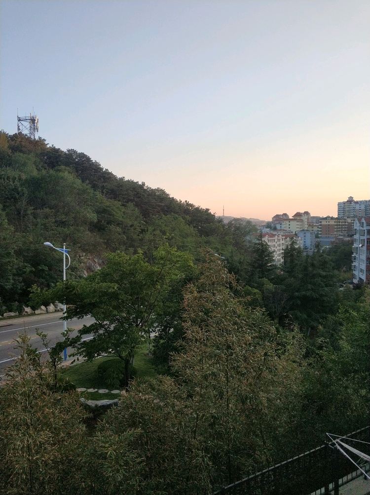 其他
