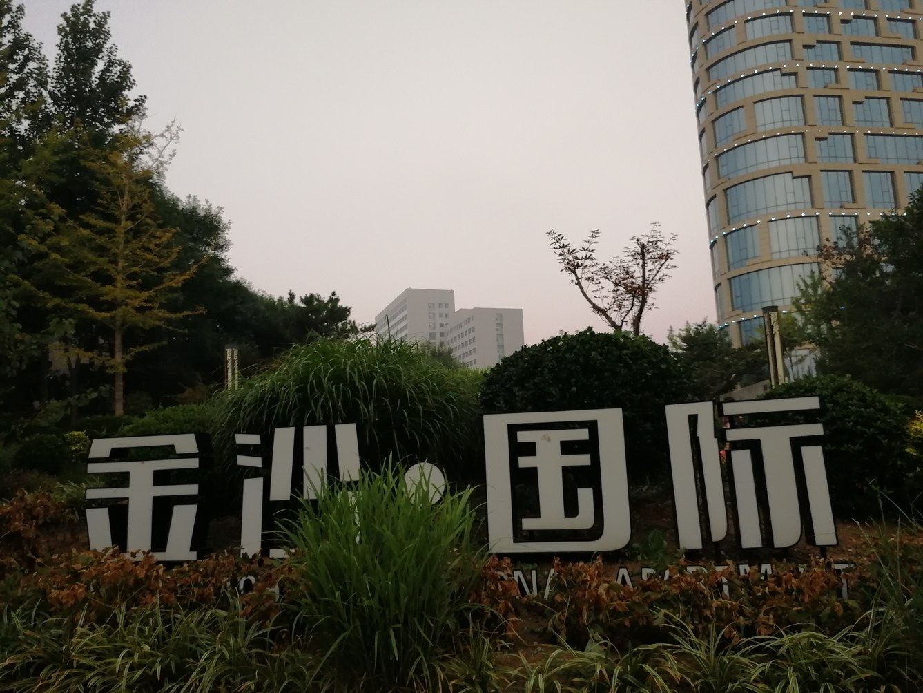 其他