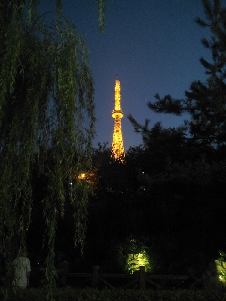 其他