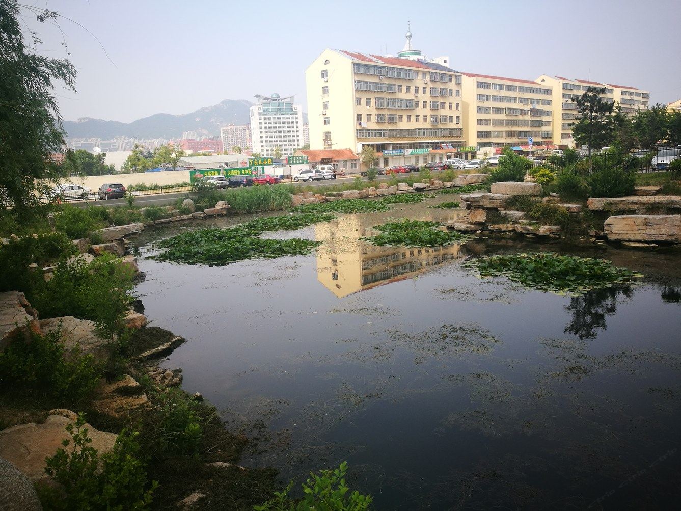 其他